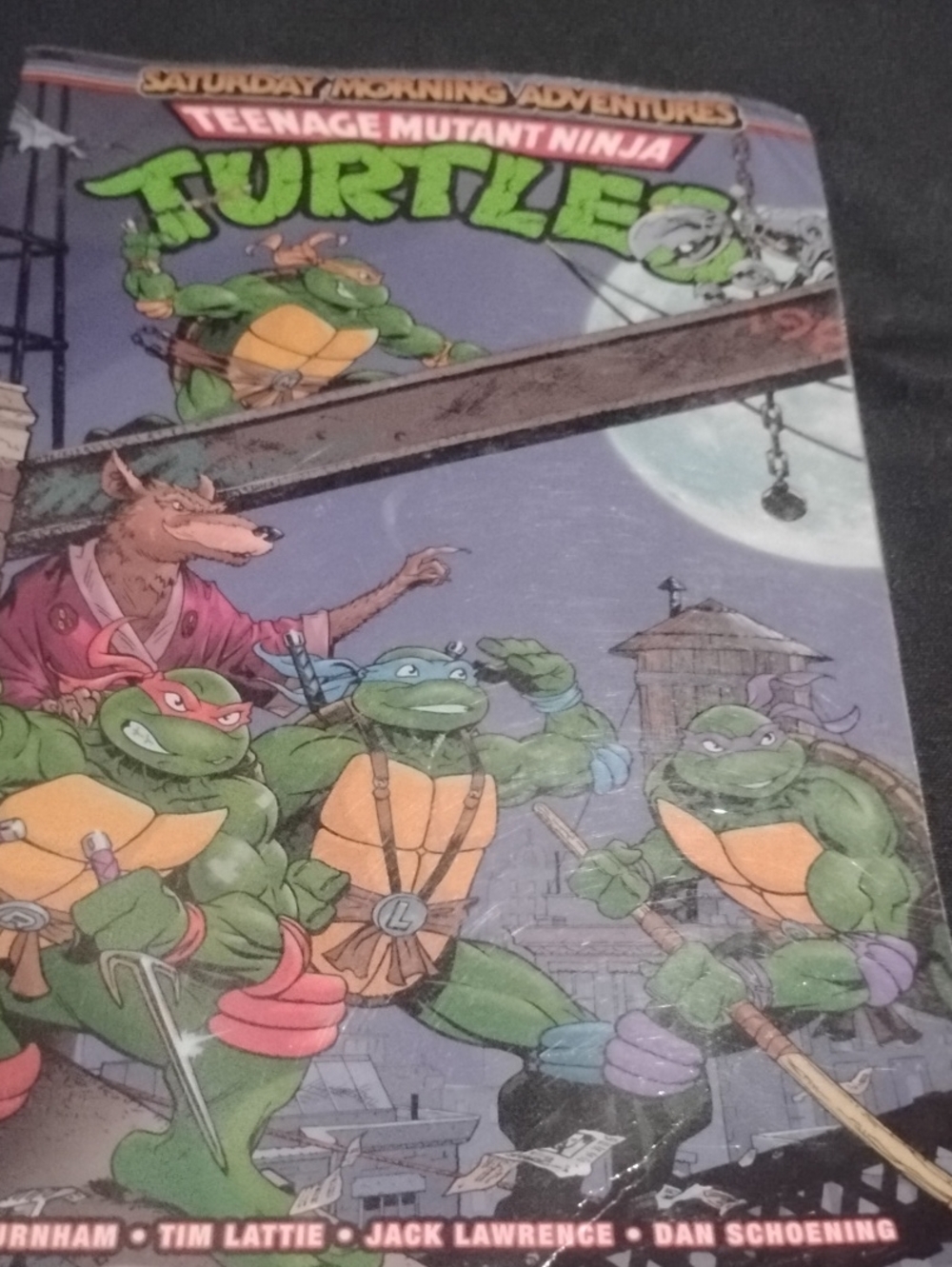 Teenage Mutant Ninja Turtles Comic Book - Green